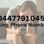 8447791045